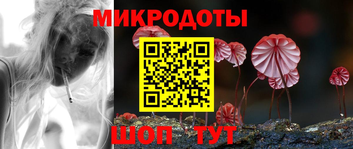 Псилоцибиновые грибы Psilocybine cubensis Кемерово